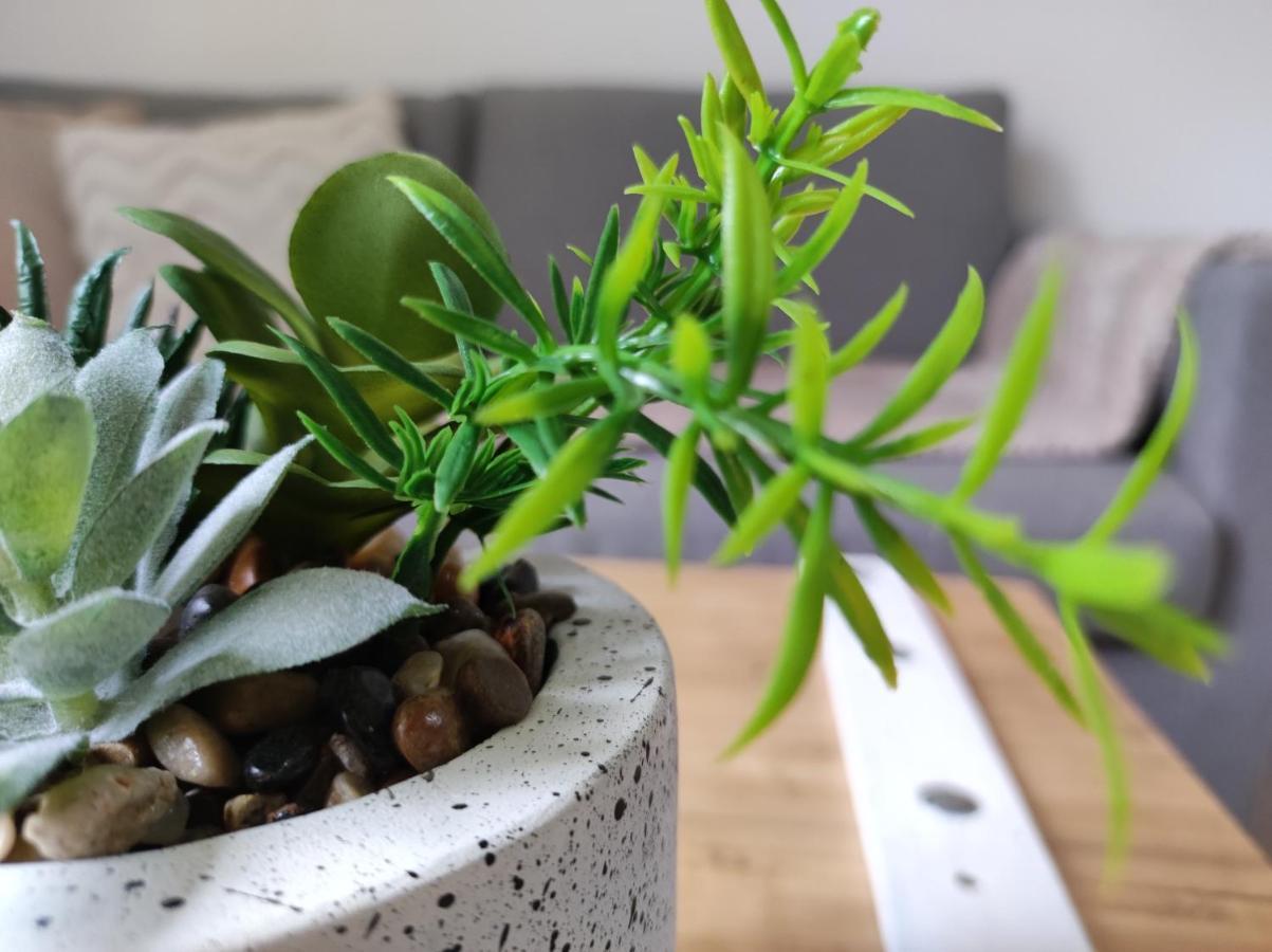 Residence Manivi 보프레오앙모주 외부 사진
